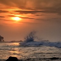 Шри-Ланка. Рассвет. :: Александр Беляков Шри-Ланка. Рассвет. :: Александр Беляков