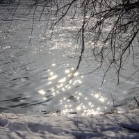 Стайка зайчиков :: Евгений Корьевщиков