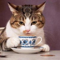 чаепитие :: СЕРГЕЙ ФИЛОЧКИН чаепитие :: СЕРГЕЙ ФИЛОЧКИН