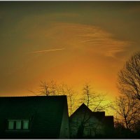 УТРО РАННЕЕ... :: Elvira E. 