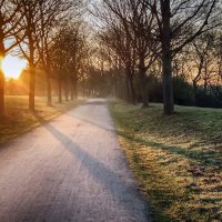 **** :: Андроник Александр 