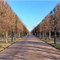 Мартовская геометрия. :: Лия ☼ Мартовская геометрия. :: Лия ☼