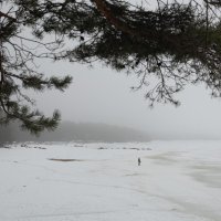 * :: Светлана Воробьева