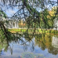 Кусково :: Irene Irene