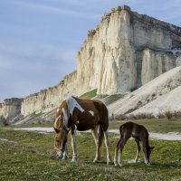 У подножия белой скалы :: Сергей Старков