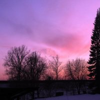 Розовый вечер :: Людмила Смородинская