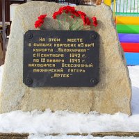 Алтайский Артек :: Татьяна Лютаева