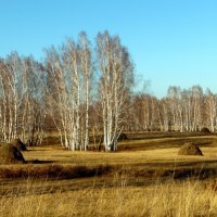 Осень,листья облетели. :: nadyasilyuk Вознюк Осень,листья облетели. :: nadyasilyuk Вознюк