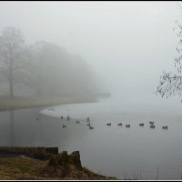 Март ! :: Aleksandr Gal