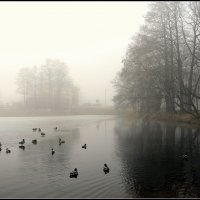 *** :: Aleksandr Gal