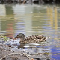 Взгляд на город сквозь объектив :: Владислав Левашов