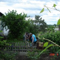 работа в саду :: Наталья Штанулина