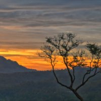Шри-Ланка. Атмосфера. :: Александр Беляков