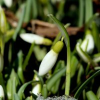 Началось! :: Александр Кондаков