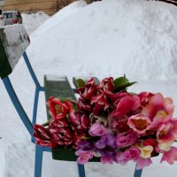 во дворе :: Таня Фиалка