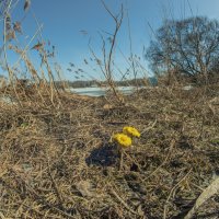 Они были первыми. :: Николай 