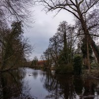 Январское... :: Николай Гирш