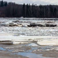 *** :: Геннадий Порохов