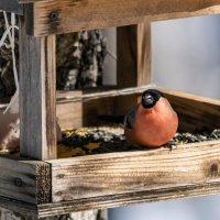 Снегирь :: Виктор Иванович Чернюк