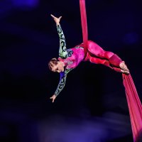 Гимнастика :: SanSan 