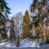 Начало марта :: Сергей Цветков