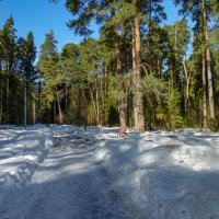 Уединение. :: Михаил "Skipper"