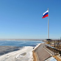 Мураши :: AleksSPb Лесниченко