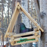 * :: Галина Нестратова