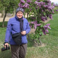 Принимаю поздравления.... :: ZNatasha -