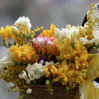 оттенки весны :: Леонид 