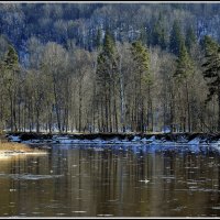 *** :: Aleksandr Gal