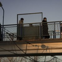 Утро :: Владимир Носов