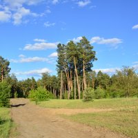 **** :: Виктор 