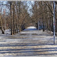 Весна идёт, весне дорогу. :: Владимир Попов