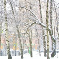 ..что-то пошло не так.... :: galalog galalog