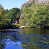 Нижний Кузьминский пруд :: Игорь Белоногов