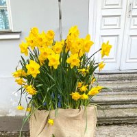 как проходит неделя: понедеееееельник… втооооорник… средааааааа… четвеееееерг… пятницасубботавоскрес :: Таня Фиалка