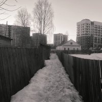 Фотография :: Денис Безногов