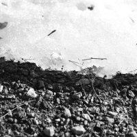 Мечты о ч/б Лейке 65. :: Михаил Елочкин