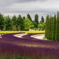 Парк Галицкого в городе Краснодар :: Игорь Сикорский