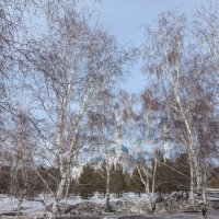 Мартовский солнечный денёк. :: Андрей Хлопонин