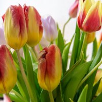 *** :: Виктор Иванович Чернюк