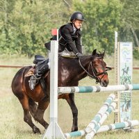 Конкур закидка :: SanSan 