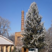 Прогулка по городу :: Роман Савоцкий