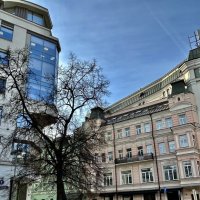 Москва :: Натали 