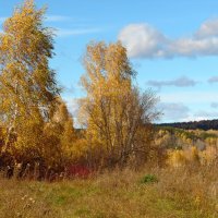 ОСЕННИЙ ВЕТЕРОК. :: nadyasilyuk Вознюк
