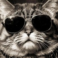 Вот прикупил-на улице солнце яркое! :: СЕРГЕЙ ФИЛОЧКИН