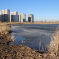 Весна в Купчино :: Наталья Герасимова