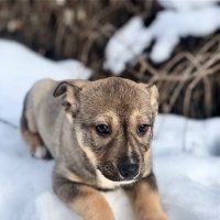 D :: Андрей Л. В.