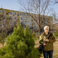 У ёлки :: Анатолий Чикчирный